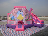 PVC Tarpaulin Inflatable Amusement Park